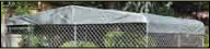 10 x 10 Dog Kennel Cover