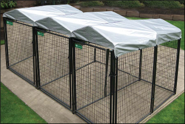 Modular dog kennels set up in an adjoining configuration