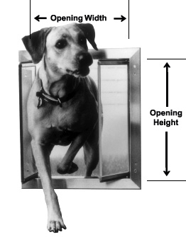 Dog Door Sizing