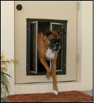 PlexiDor Door-Mounted Dog Doors
