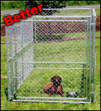 Chain link kennel