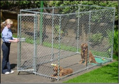 Chain Link Kennel Kit 5