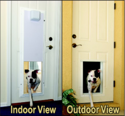 electronic pet door