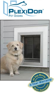 Wall Mounted Dog Doors