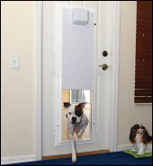 Electronic Cat Doors