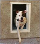 PlexiDor Electronic Dog Doors