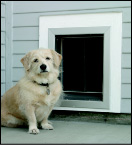 PlexiDor Wall-Mounted Dog Doors