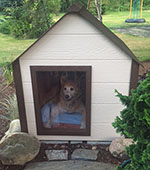 Climates Master Dog House Testimonial